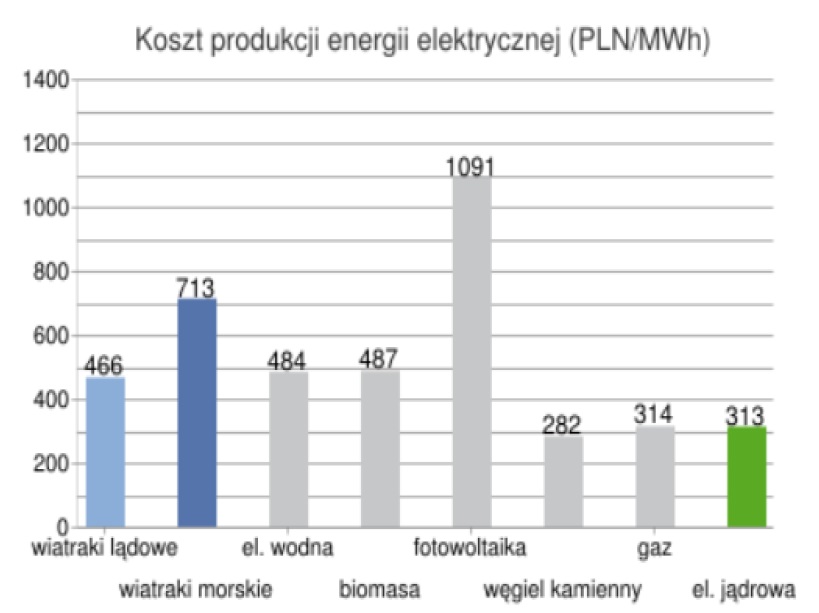 paliwa stałe koszty